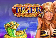 RTP Playngo HIGHBET88
